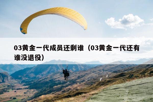 03黄金一代成员还剩谁（03黄金一代还有谁没退役） 第1张
