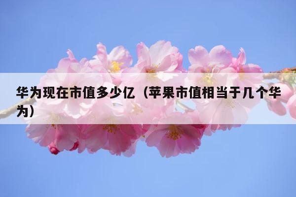华为现在市值多少亿（苹果市值相当于几个华为） 第1张