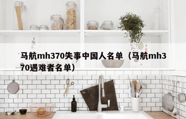 马航mh370失事中国人名单（马航mh370遇难者名单） 第1张