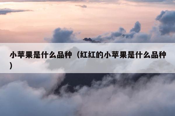小苹果是什么品种（红红的小苹果是什么品种） 第1张