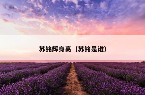 苏铭辉身高（苏铭是谁） 第1张