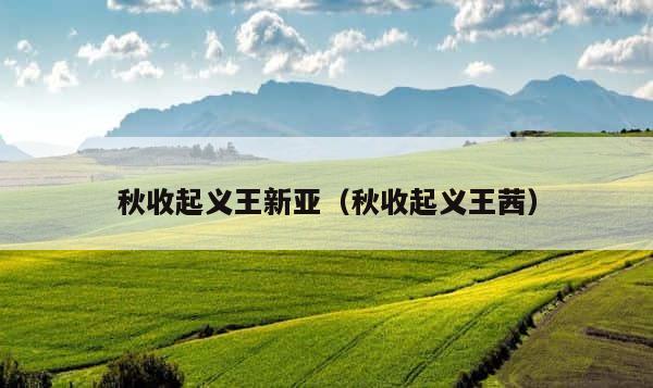 秋收起义王新亚（秋收起义王茜） 第1张