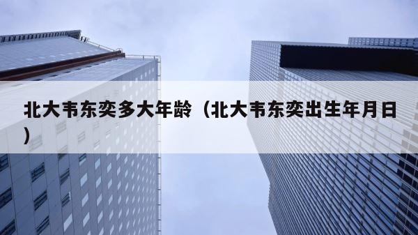 北大韦东奕多大年龄（北大韦东奕出生年月日） 第1张