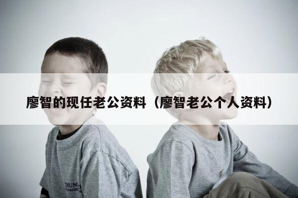 廖智的现任老公资料（廖智老公个人资料） 第1张