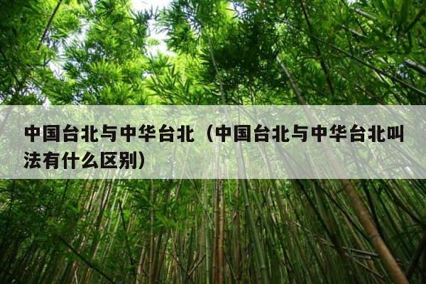 中国台北与中华台北（中国台北与中华台北叫法有什么区别） 第1张