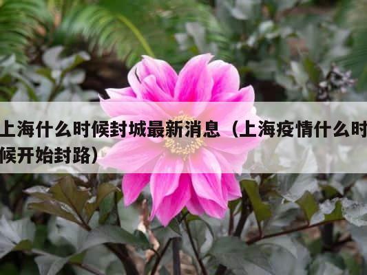 上海什么时候封城最新消息（上海疫情什么时候开始封路） 第1张
