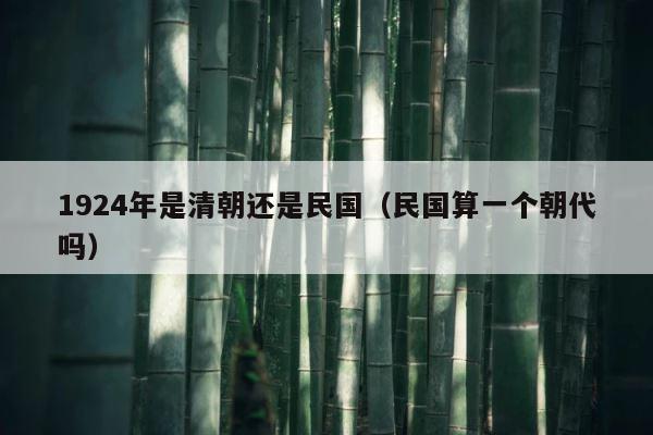 1924年是清朝还是民国（民国算一个朝代吗） 第1张