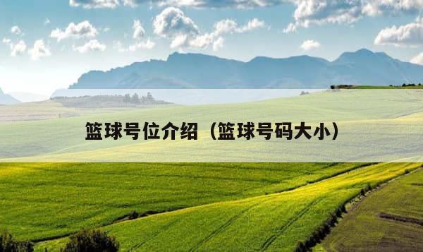 篮球号位介绍（篮球号码大小） 第1张