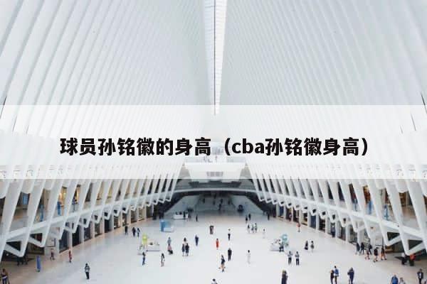 球员孙铭徽的身高（cba孙铭徽身高） 第1张