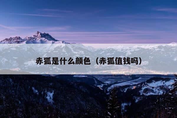 赤狐是什么颜色（赤狐值钱吗） 第1张