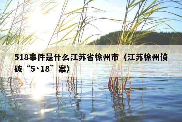 518事件是什么江苏省徐州市（江苏徐州侦破“5·18”案） 第1张