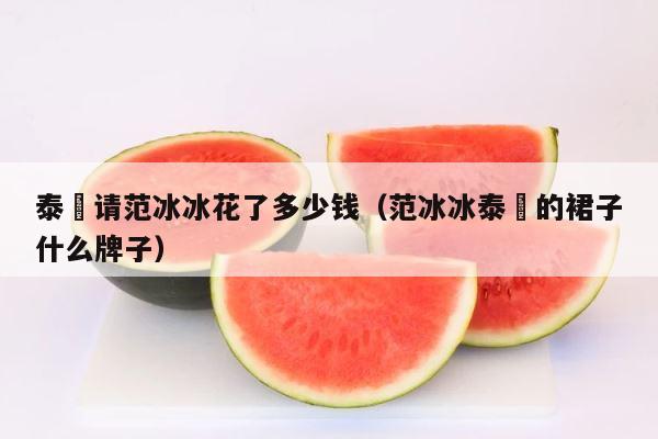 泰囧请范冰冰花了多少钱（范冰冰泰囧的裙子什么牌子） 第1张