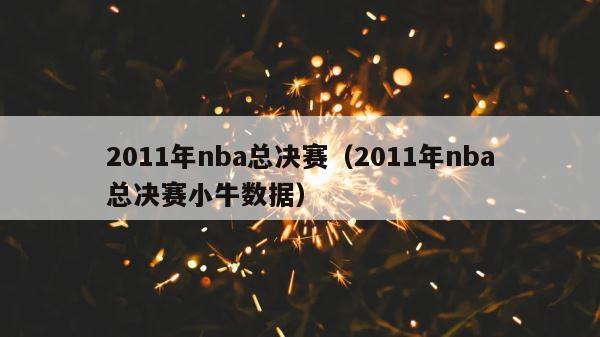 2011年nba总决赛（2011年nba总决赛小牛数据） 第1张
