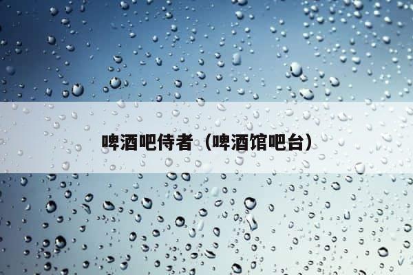 啤酒吧侍者（啤酒馆吧台） 第1张