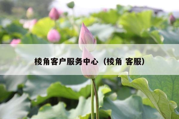 棱角客户服务中心（棱角 客服） 第1张