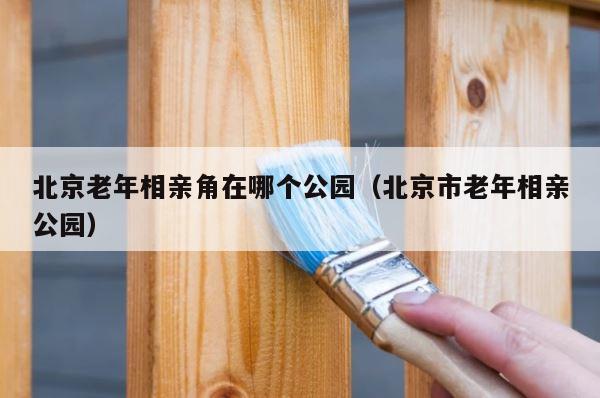 北京老年相亲角在哪个公园（北京市老年相亲公园） 第1张