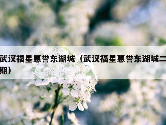 武汉福星惠誉东湖城（武汉福星惠誉东湖城二期） 第1张