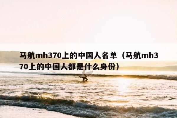 马航mh370上的中国人名单（马航mh370上的中国人都是什么身份） 第1张