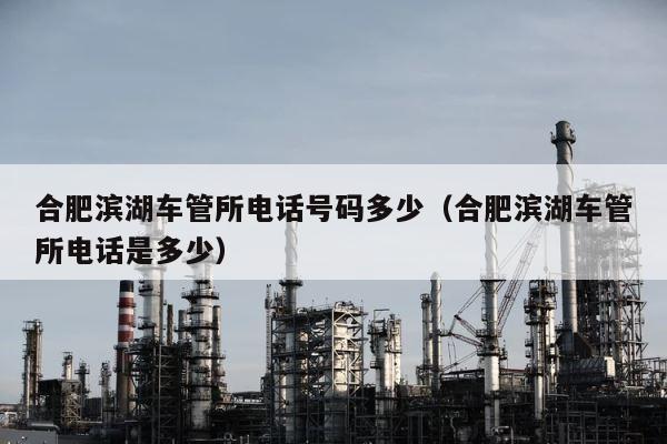 合肥滨湖车管所电话号码多少（合肥滨湖车管所电话是多少） 第1张