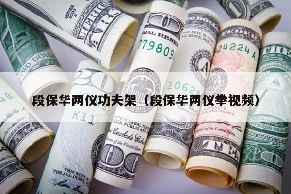 段保华两仪功夫架（段保华两仪拳视频） 第1张