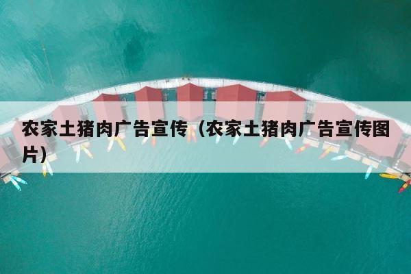 农家土猪肉广告宣传（农家土猪肉广告宣传图片） 第1张