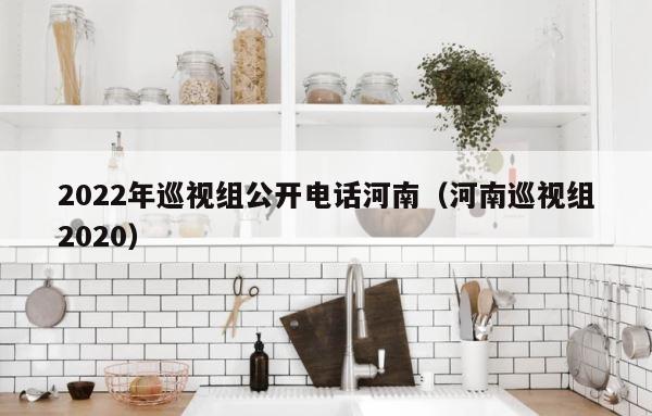 2022年巡视组公开电话河南（河南巡视组2020） 第1张