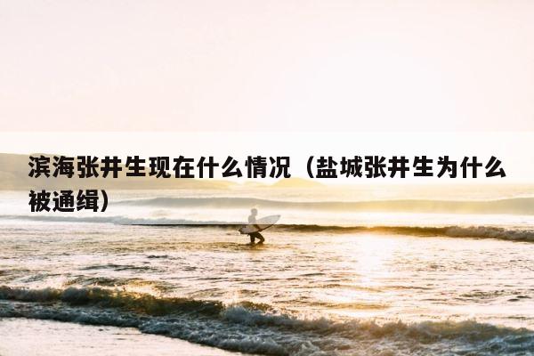 滨海张井生现在什么情况（盐城张井生为什么被通缉） 第1张