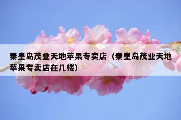 秦皇岛茂业天地苹果专卖店（秦皇岛茂业天地苹果专卖店在几楼） 第1张