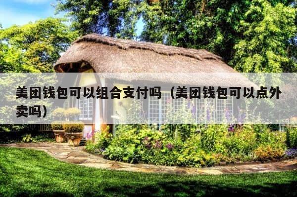美团钱包可以组合支付吗（美团钱包可以点外卖吗） 第1张