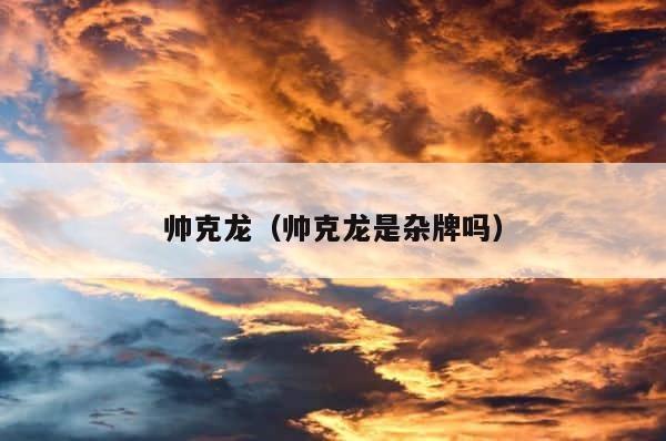 帅克龙（帅克龙是杂牌吗） 第1张