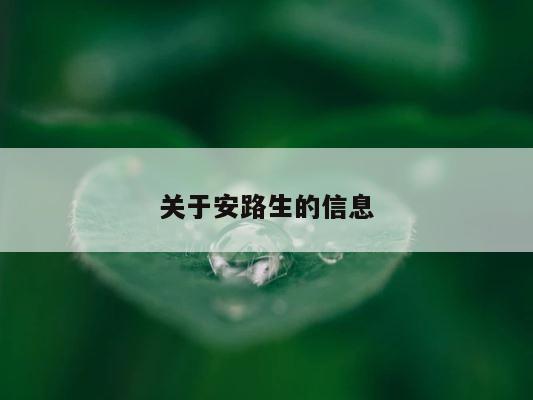 关于安路生的信息 第1张