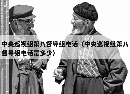 中央巡视组第八督导组电话（中央巡视组第八督导组电话是多少） 第1张