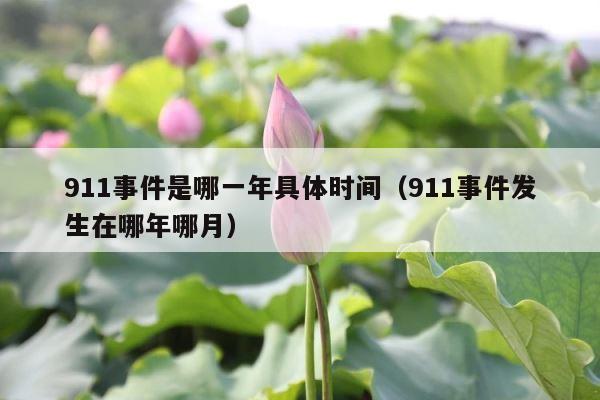 911事件是哪一年具体时间（911事件发生在哪年哪月） 第1张