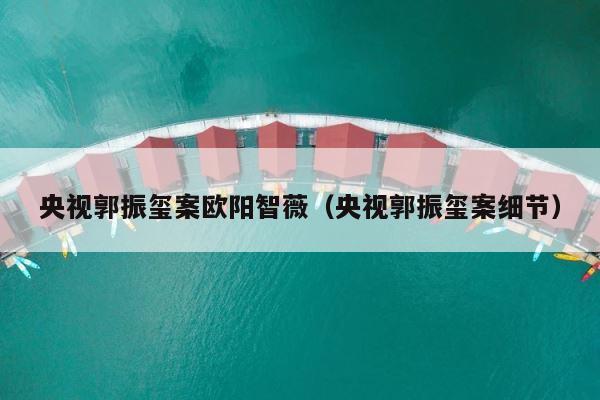 央视郭振玺案欧阳智薇（央视郭振玺案细节） 第1张
