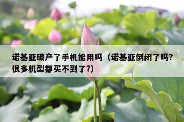诺基亚破产了手机能用吗（诺基亚倒闭了吗?很多机型都买不到了?） 第1张
