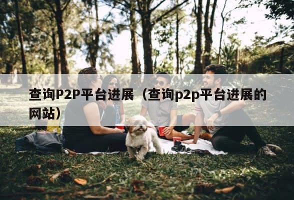查询P2P平台进展（查询p2p平台进展的网站） 第1张