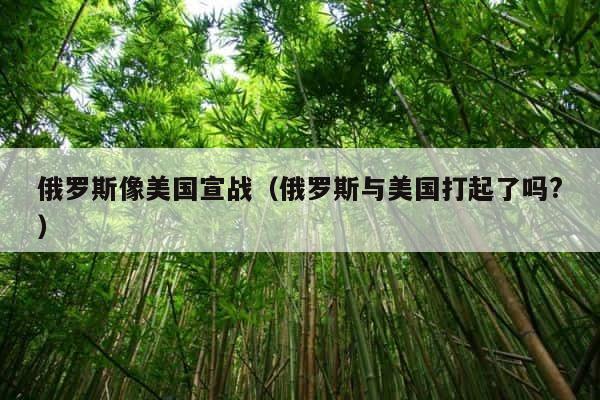 俄罗斯像美国宣战（俄罗斯与美国打起了吗?） 第1张
