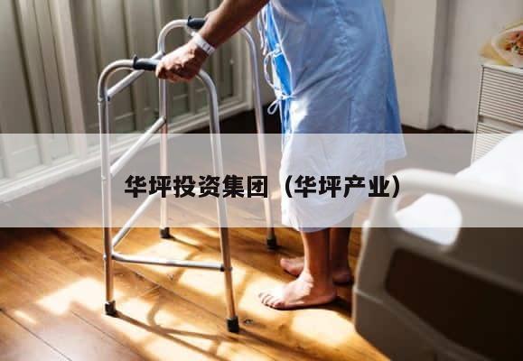 华坪投资集团（华坪产业） 第1张
