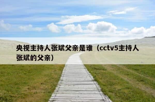 央视主持人张斌父亲是谁（cctv5主持人张斌的父亲） 第1张