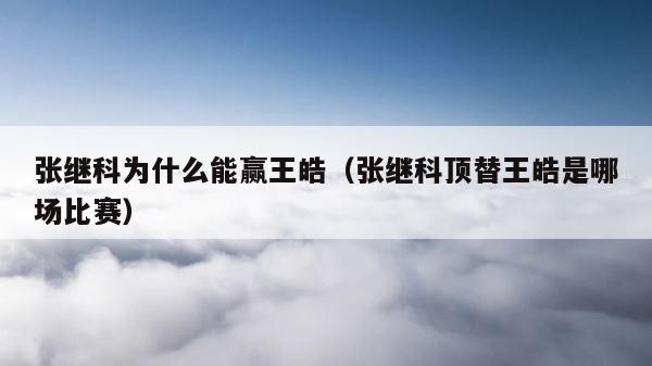 张继科为什么能赢王皓（张继科顶替王皓是哪场比赛） 第1张