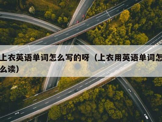 上衣英语单词怎么写的呀（上衣用英语单词怎么读） 第1张