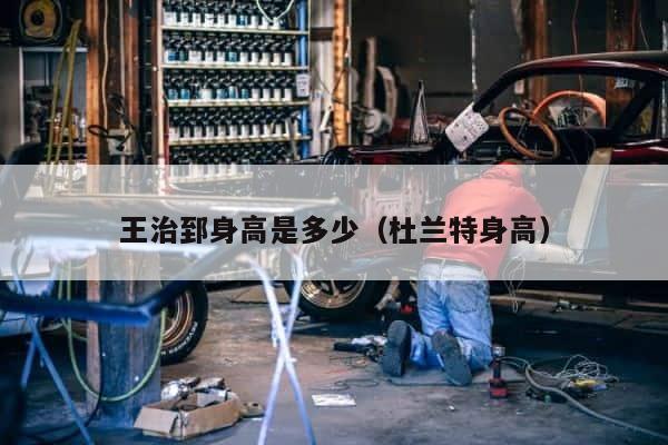 王治郅身高是多少（杜兰特身高） 第1张