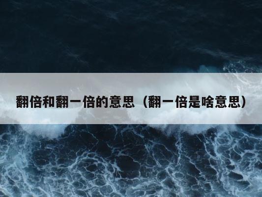 翻倍和翻一倍的意思（翻一倍是啥意思） 第1张
