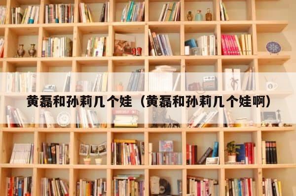黄磊和孙莉几个娃（黄磊和孙莉几个娃啊） 第1张
