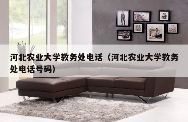 河北农业大学教务处电话（河北农业大学教务处电话号码） 第1张