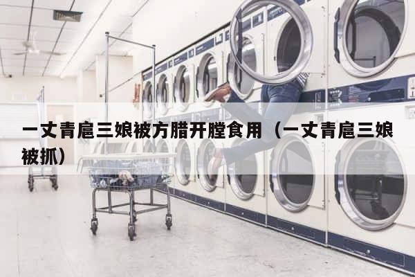 一丈青扈三娘被方腊开膛食用（一丈青扈三娘被抓） 第1张