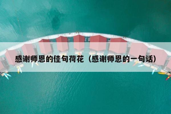 感谢师恩的佳句荷花（感谢师恩的一句话） 第1张