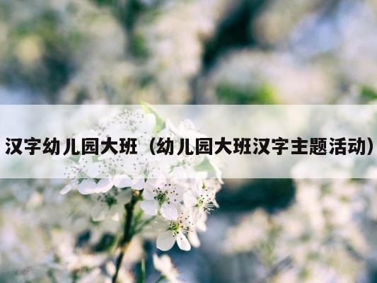 汉字幼儿园大班（幼儿园大班汉字主题活动） 第1张