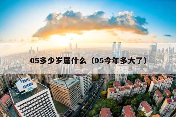 05多少岁属什么（05今年多大了） 第1张