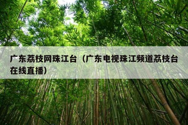 广东荔枝网珠江台（广东电视珠江频道荔枝台在线直播） 第1张